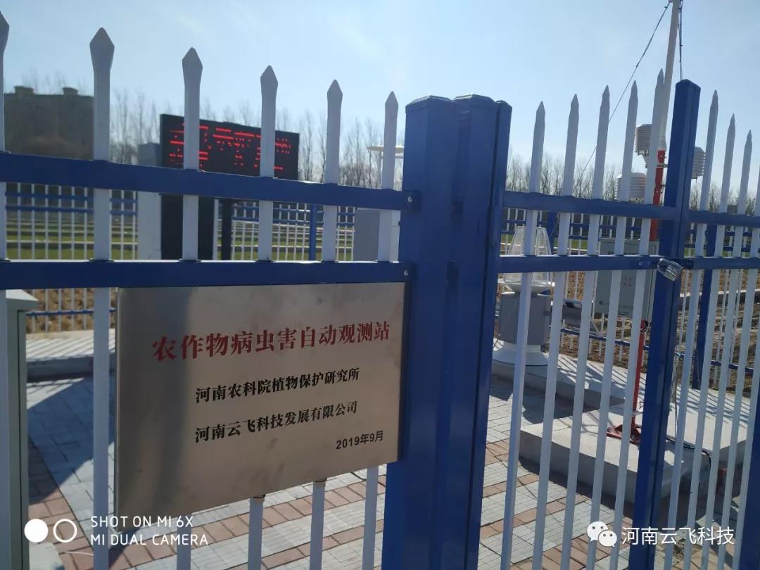 云飛科技在農(nóng)科院示范基地建設(shè)的病蟲害觀測(cè)站